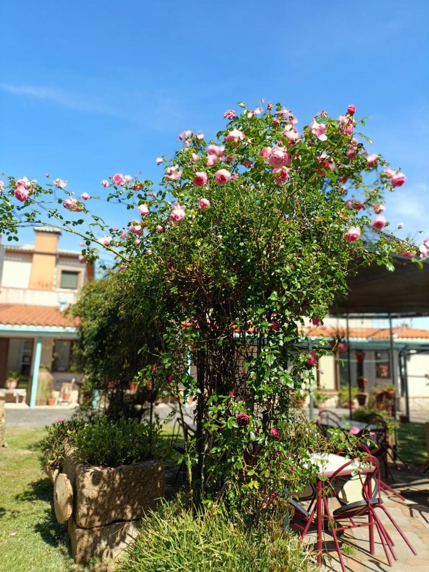 Casa Rural Del Corral Malpartida De Plasencia Luaran gambar